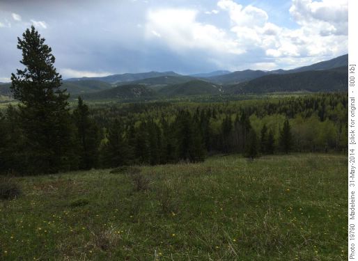 View on the way back