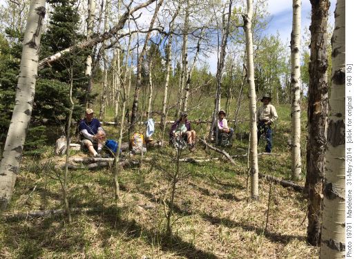 Lunch Sulphur Springs Loop