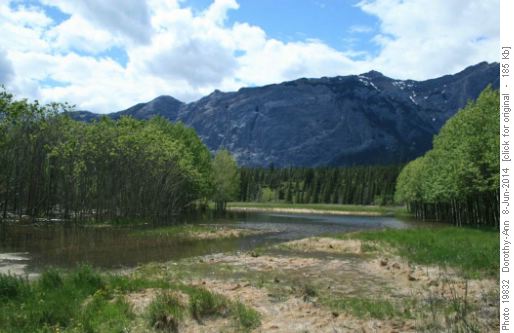 First water hazard