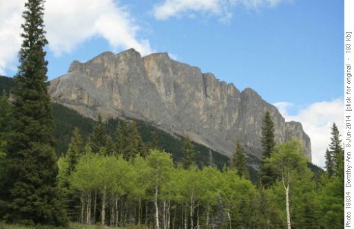 Yamnuska looming above