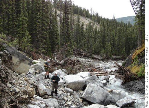Cornwall Creek