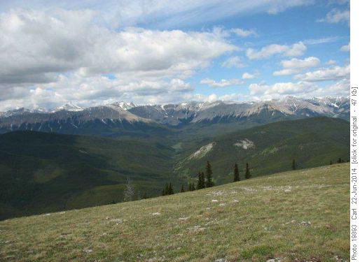 Prairie Creek valley spread out below