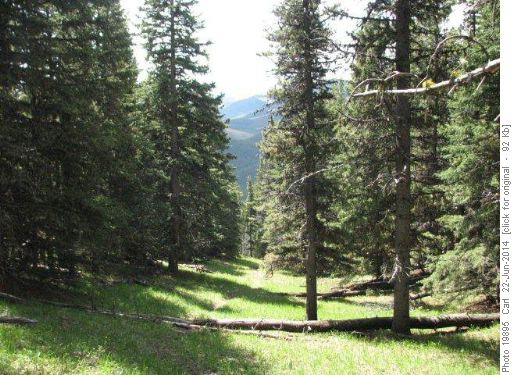 Pleasant route of "West Ridge" trail