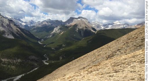 View West up Elbow Valley