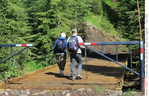 New bridge on new trail