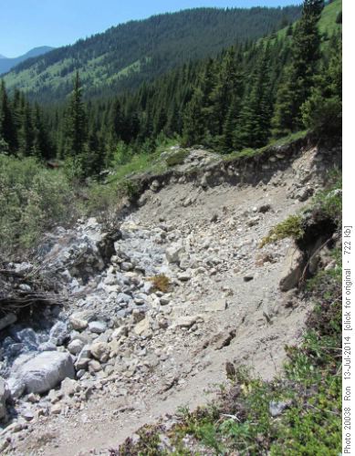 Gouged out creekbed on a tributary of Picklejar Creek