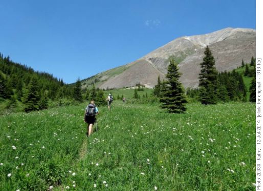 Meadows on the way to Picklejar-Mist pass