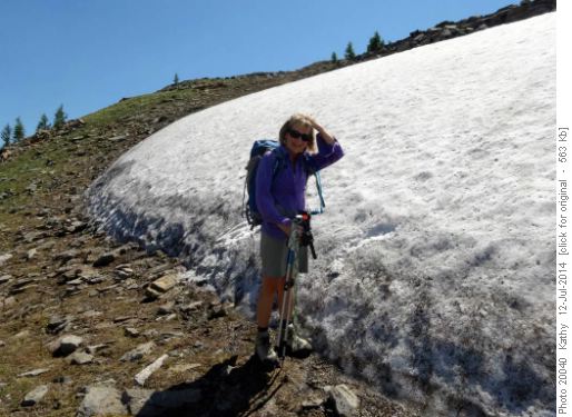 {206 Barb Mitchell} cools off near the ridgetop.