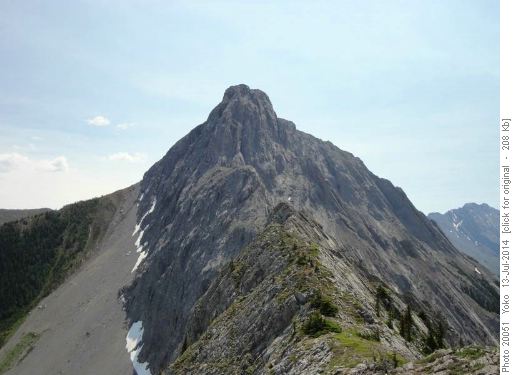 The Wedge from Limestone Mt