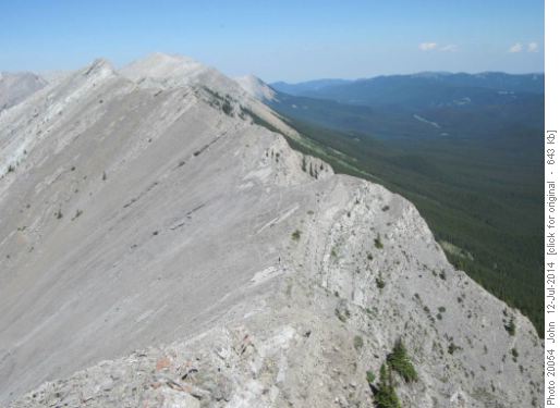 Nihahi ridge - speedy ladies just visible - can you see them?