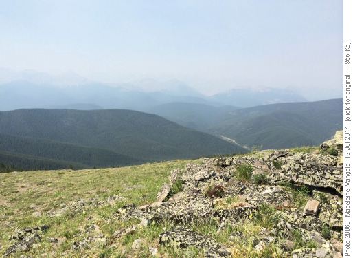Smoky Mountain View