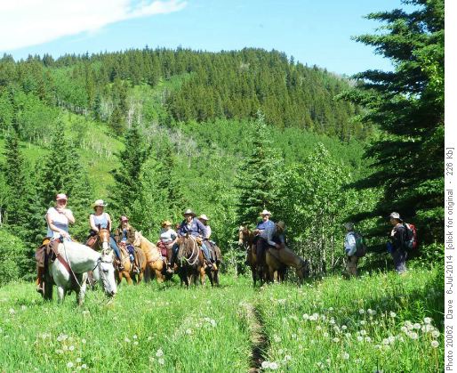 Equestrians from Edmonton