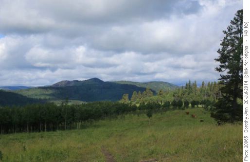 Moving the cattle along on Long Prairie Ridge