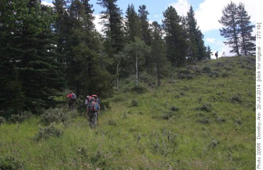 Heading up the first of Sandy McNabb Hills