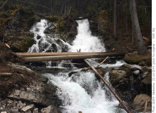 logs over Sarrail Creek to Rawson Lake