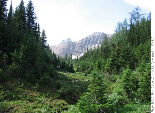 Heading into Gawby's Gulch
