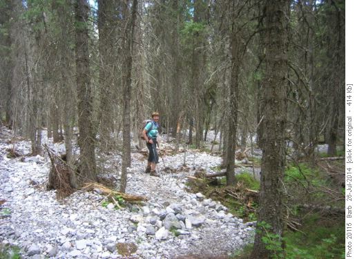 Rocks through woods