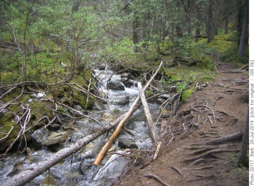 Flood debris & eroded trail