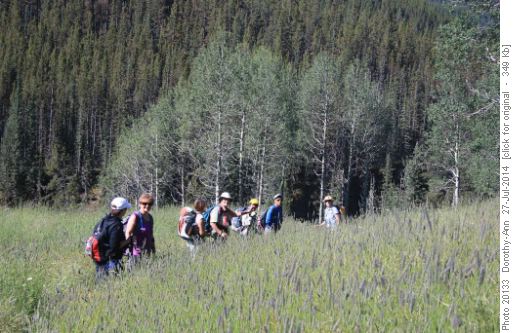 Grass-whacking at start of trail