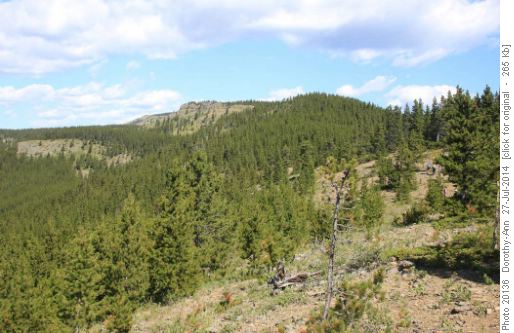 The destination ridge top