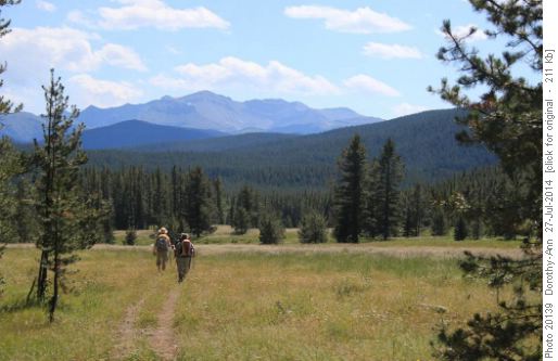 Going through the last meadow on our return