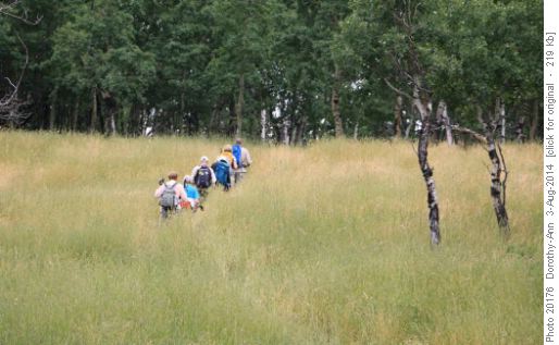 Through the very deep grass on a barely visible trail