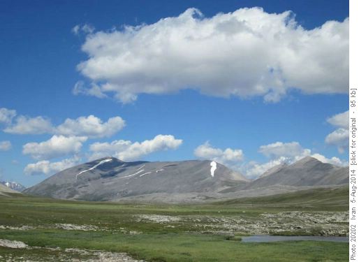 Tangle Ridge