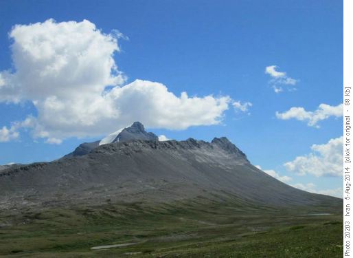 Wilcox Peak