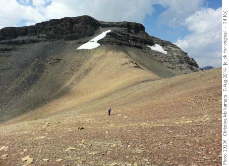 Another 25 minutes to the summit