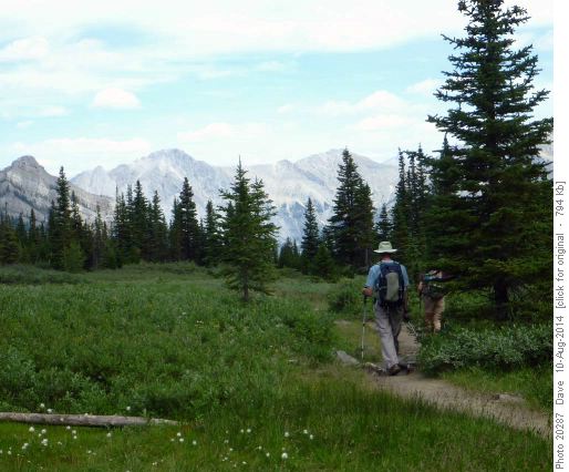 Alpine Meadows and Bow Valley