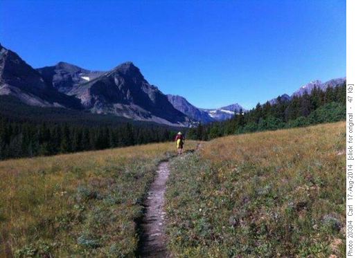 North Fork of Cutbank Creek trail (photo by Teresa)