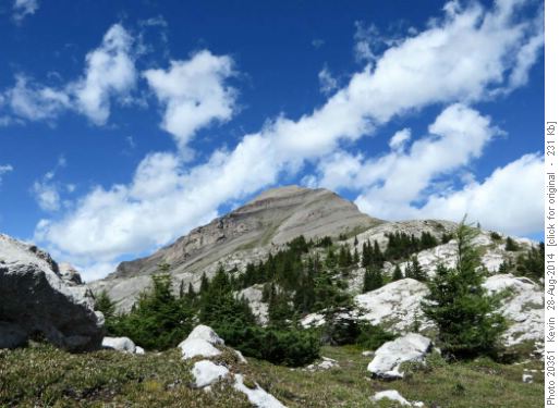 Snow Peak from Burstall Pass