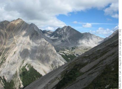 the James Walker area