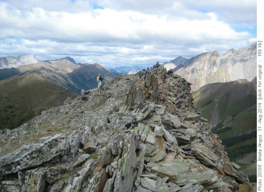 The Summit of Mt. Lipsett