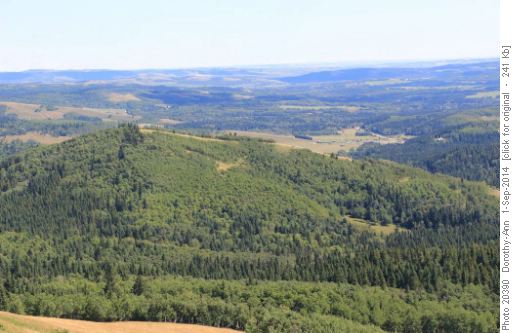 Our next hill to climb
