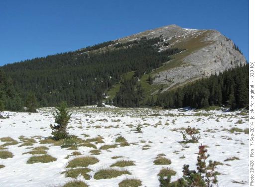 Snowy meadows & looking at the ascent to Sentinel Peak