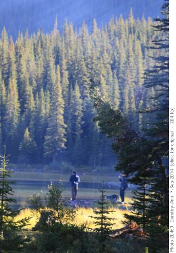 Morning fisherman at Elbow Lake