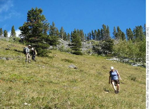 Open meadows on descent