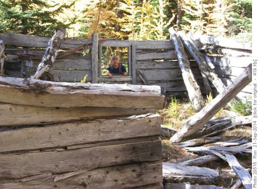 {1564 Teresa Lesz} checks out the old cabin on E.Panorama Ridge