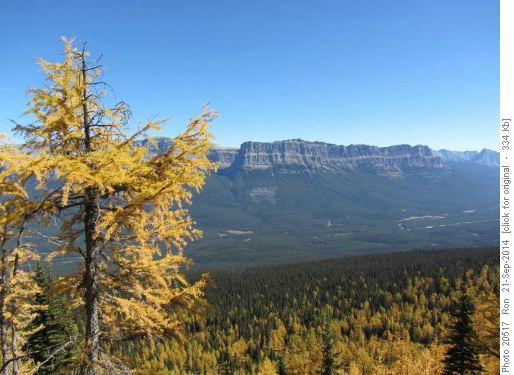 Castle Mountain from East Panorama Ridge