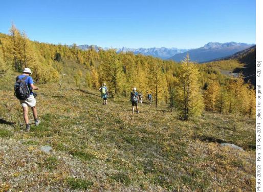 Heading towards the two lower tarns in Panorama meadows