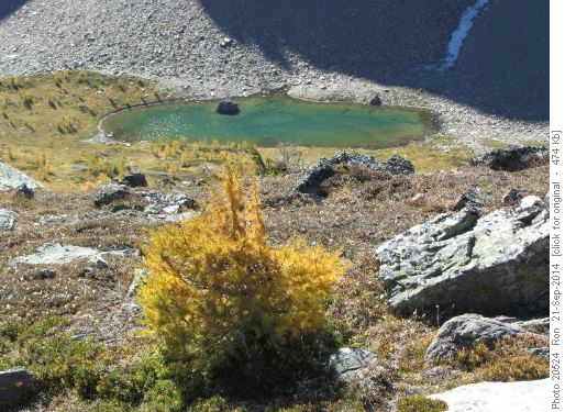 Descending to the upper tarn in Panorama meadows