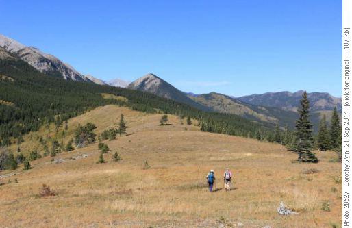 Ridge above Gunnery Creek