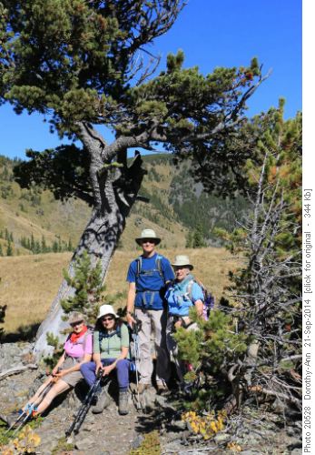 Gathered beside the still-standing Boundary Pine