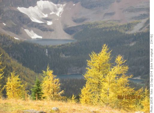 Scarab, Egypt Lake from Healy Pass