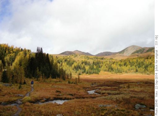 Healy Pass trail