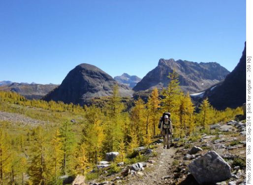 going up to Whistling Pass