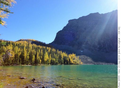 Arnica Lake