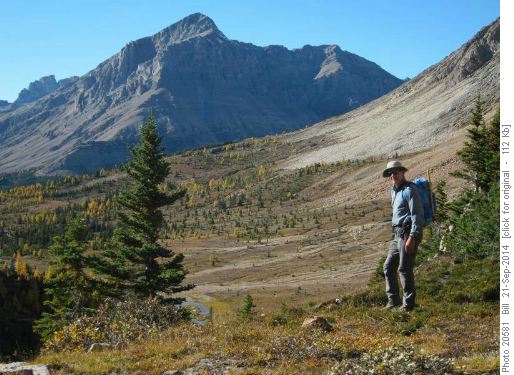 {1419 Bob Toot} above unnamed lake(not visible) in hanging valley west of Mount Lychnis above Baker creek. Mountain in background is Fossil