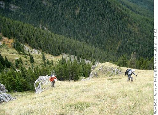 Steep grunt up the grassy sw slope